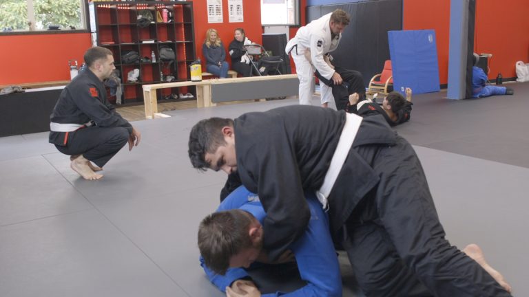 Adult Bjj 3