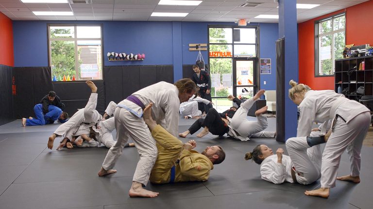 Adult Jiujitsu 1