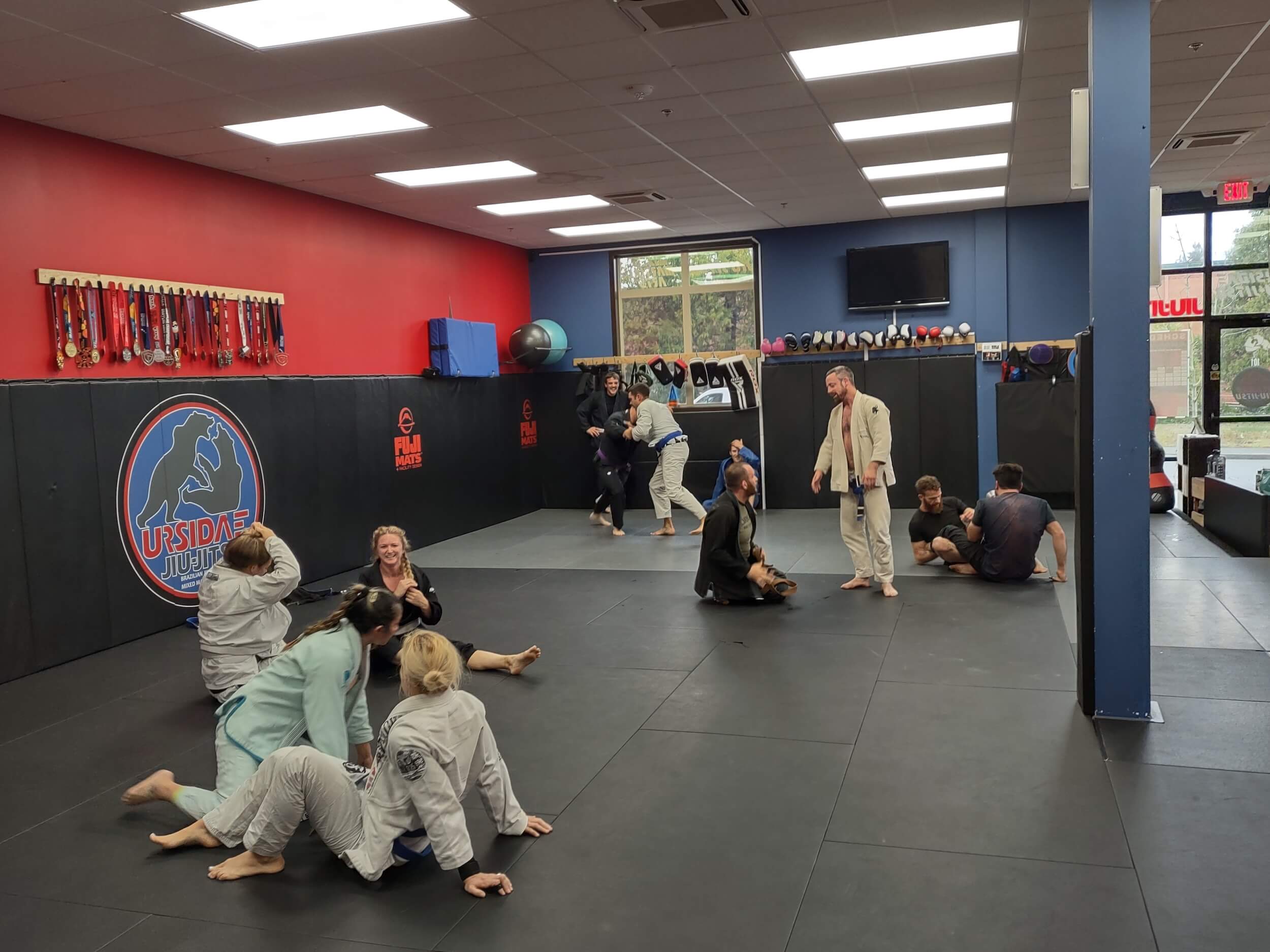 Ursidae Jiu-Jitsu